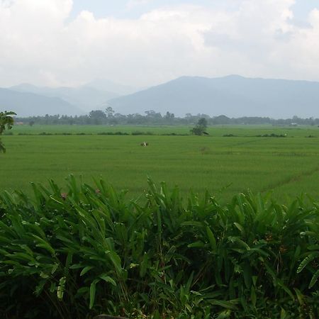 Rico Resort Chiang Kham Luaran gambar